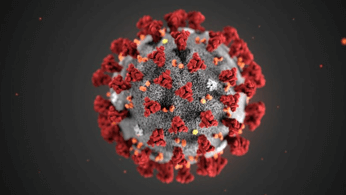 Study that traces the spread of COVID-19 in a South African hospital holds valuable lessons on infection control